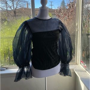 zara puffy sleeve top sheer size small
